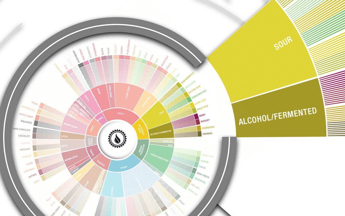 Deep Dive: Sour & Fermented Flavors in Coffee - Steel Oak Coffee