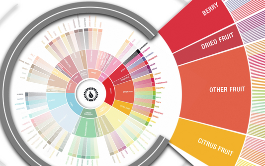 Deep Dive: Fruity Flavors in Coffee
