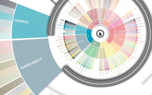 Deep Dive: "Other" (Chemical & Papery/Musty) Flavors in Coffee