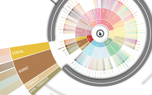 Deep Dive: Roasted Flavors in Coffee