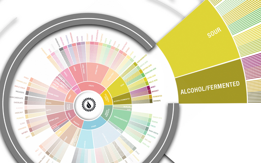 Deep Dive: Sour & Fermented Flavors in Coffee