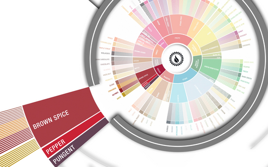 Deep Dive: Spiced Flavors in Coffee