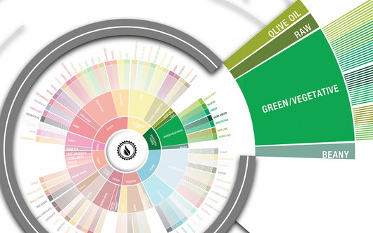 Deep Dive: Green & Vegetative Flavors in Coffee