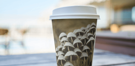Mushroom “Coffee” vs. Real Coffee: Why the Fad Can’t Compete With Specialty Grade - Steel Oak Coffee