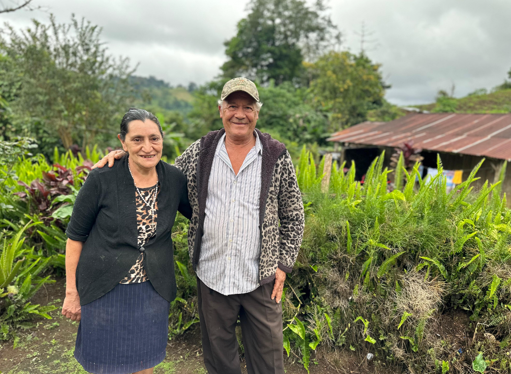 Nicaragua - Finca Zeledon - Steel Oak Coffee