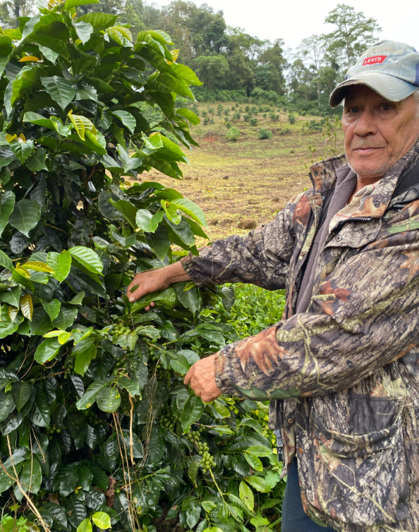 Nicaragua - Finca Zeledon - Steel Oak Coffee