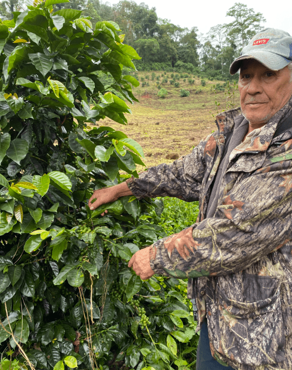 Finca Zeledon - Steel Oak Coffee