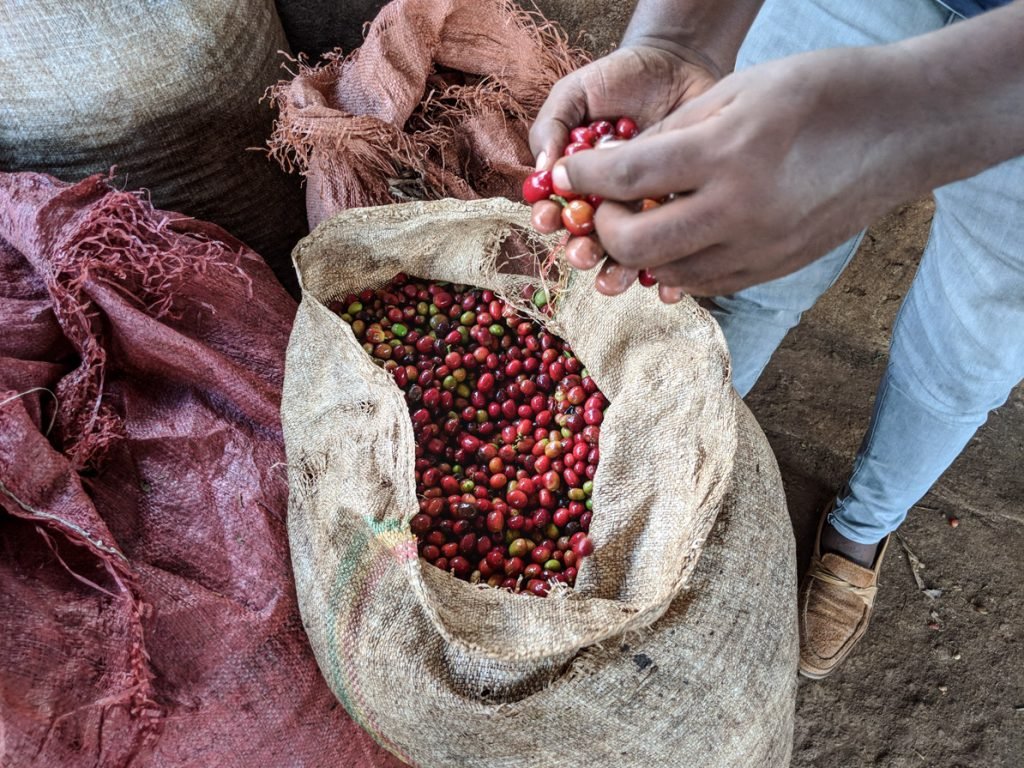 Koke Honey - Steel Oak Coffee
