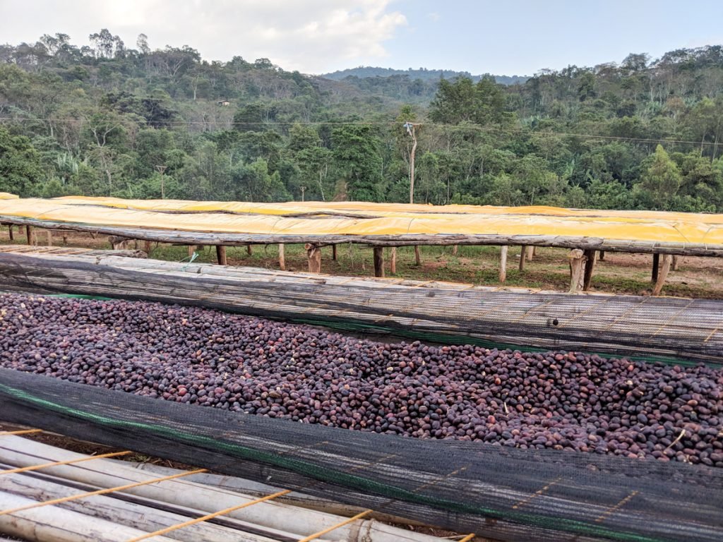 Koke Honey - Steel Oak Coffee