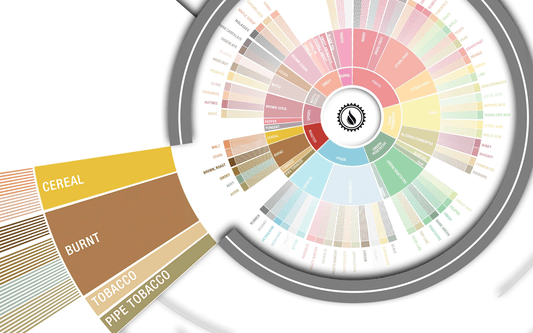 Deep Dive: Roasted Flavors in Coffee - Steel Oak Coffee