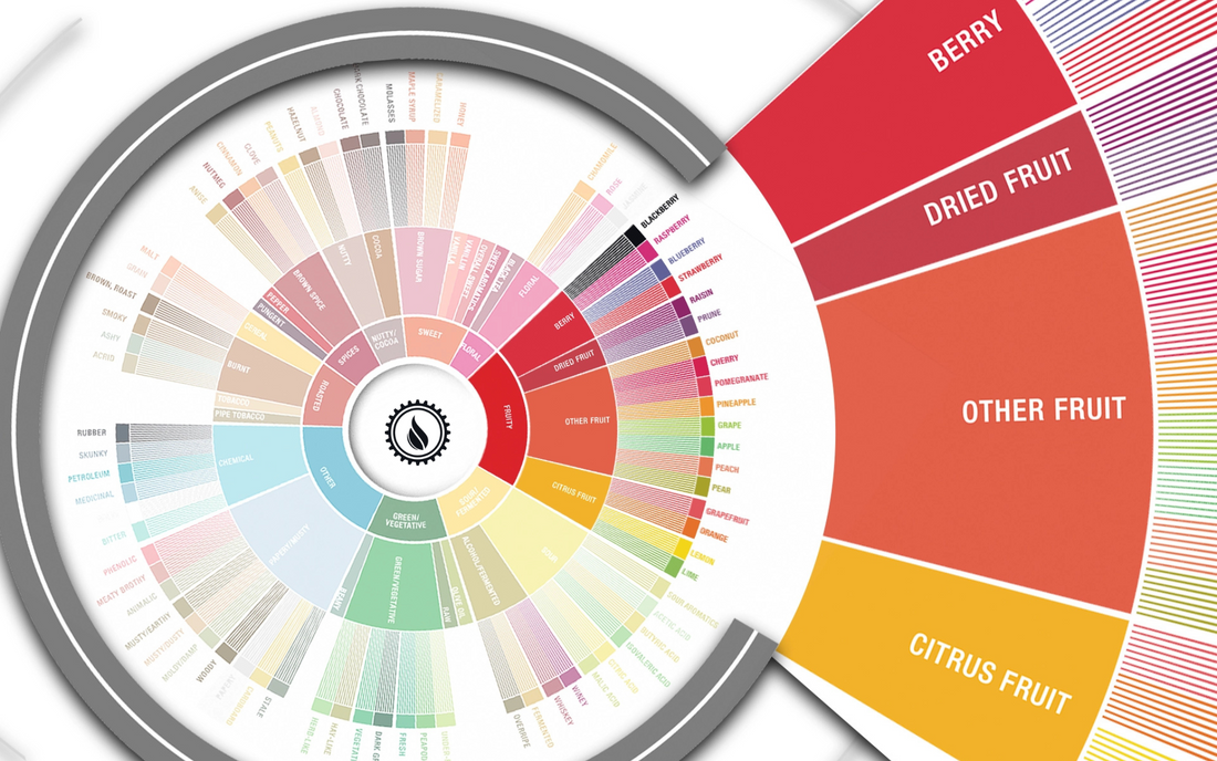 Deep Dive: Fruity Flavors in Coffee