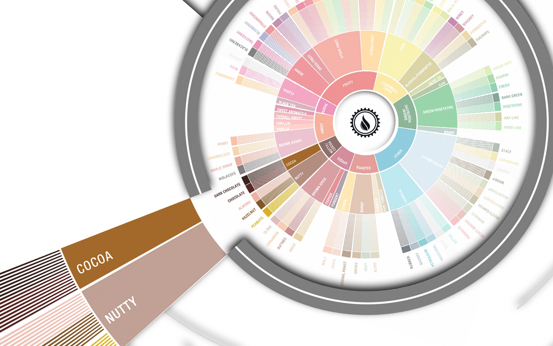 Deep Dive: Nutty & Cocoa Flavors in Coffee