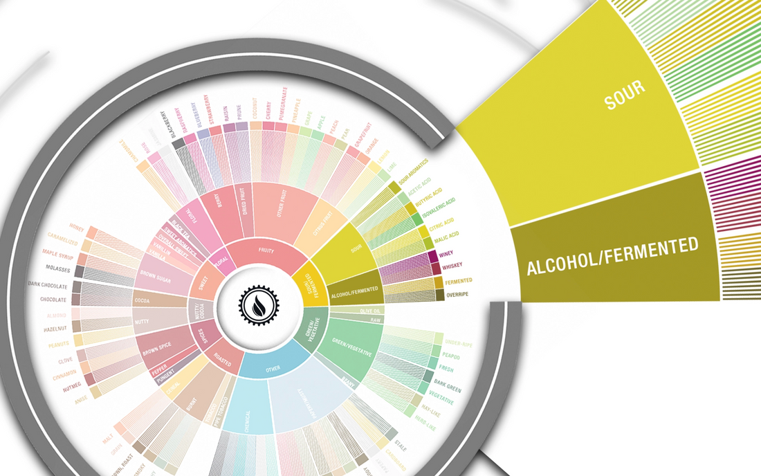 Deep Dive: Sour & Fermented Flavors in Coffee