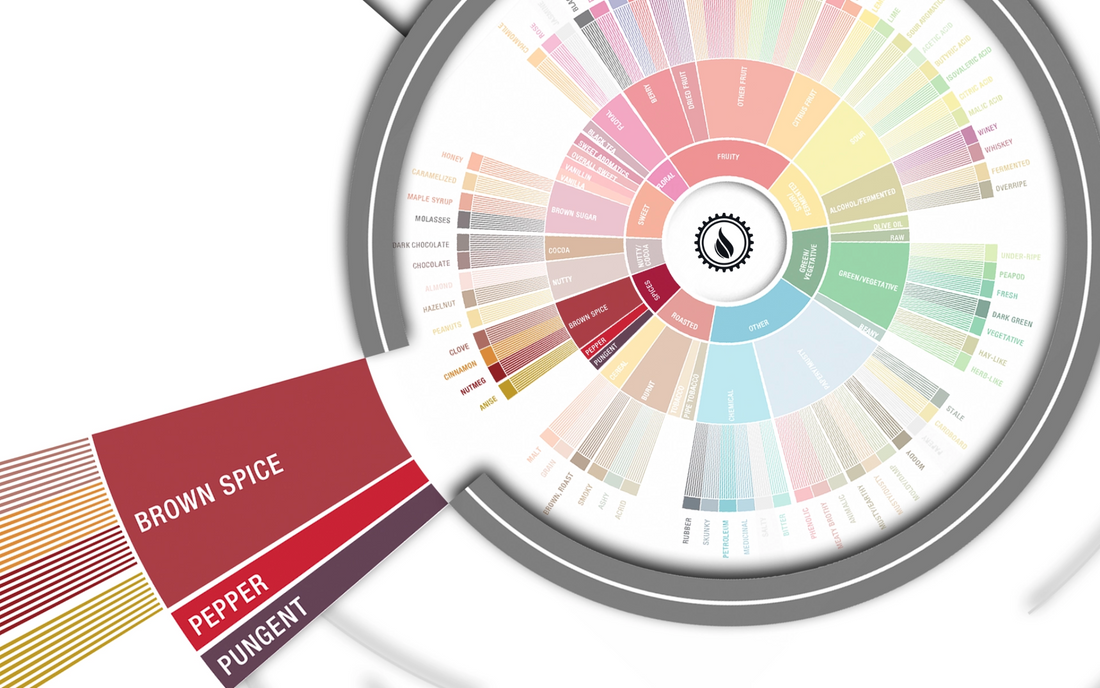 Deep Dive: Spiced Flavors in Coffee