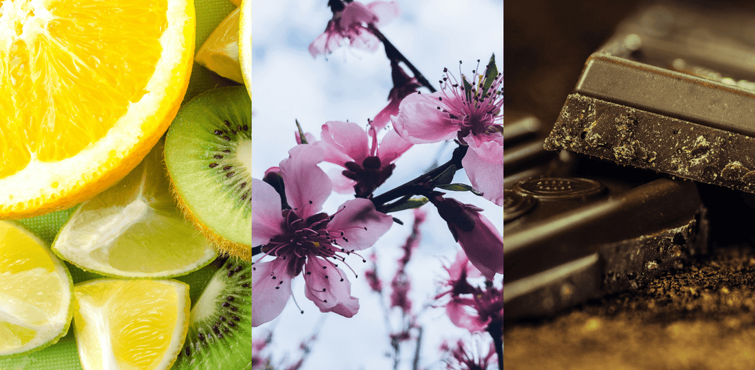 How to Pick Coffee Beans Based on Your Taste Preferences - Steel Oak Coffee