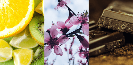 How to Pick Coffee Beans Based on Your Taste Preferences - Steel Oak Coffee