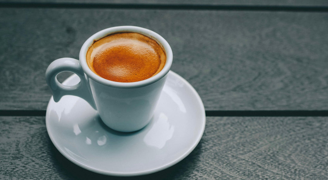 The Best Coffee in Orlando & Central Florida: Why It Starts with Steel Oak - Steel Oak Coffee