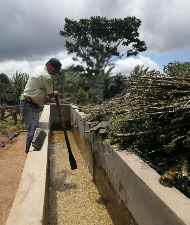 Nicaragua - Don Francisco