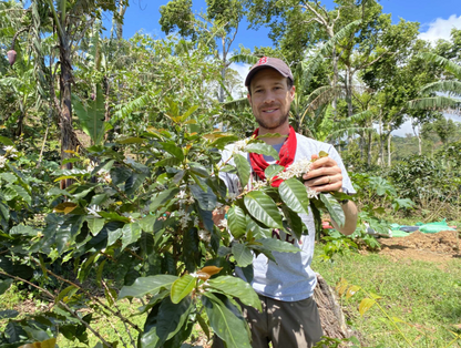 Finca Idealista (Honey)