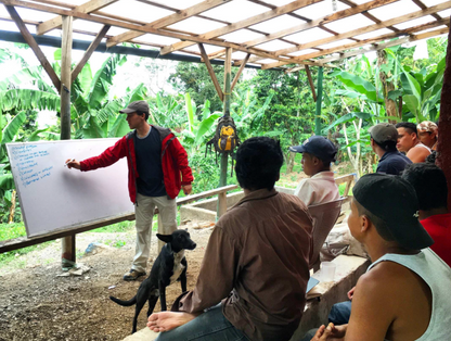 Finca Idealista (Honey)