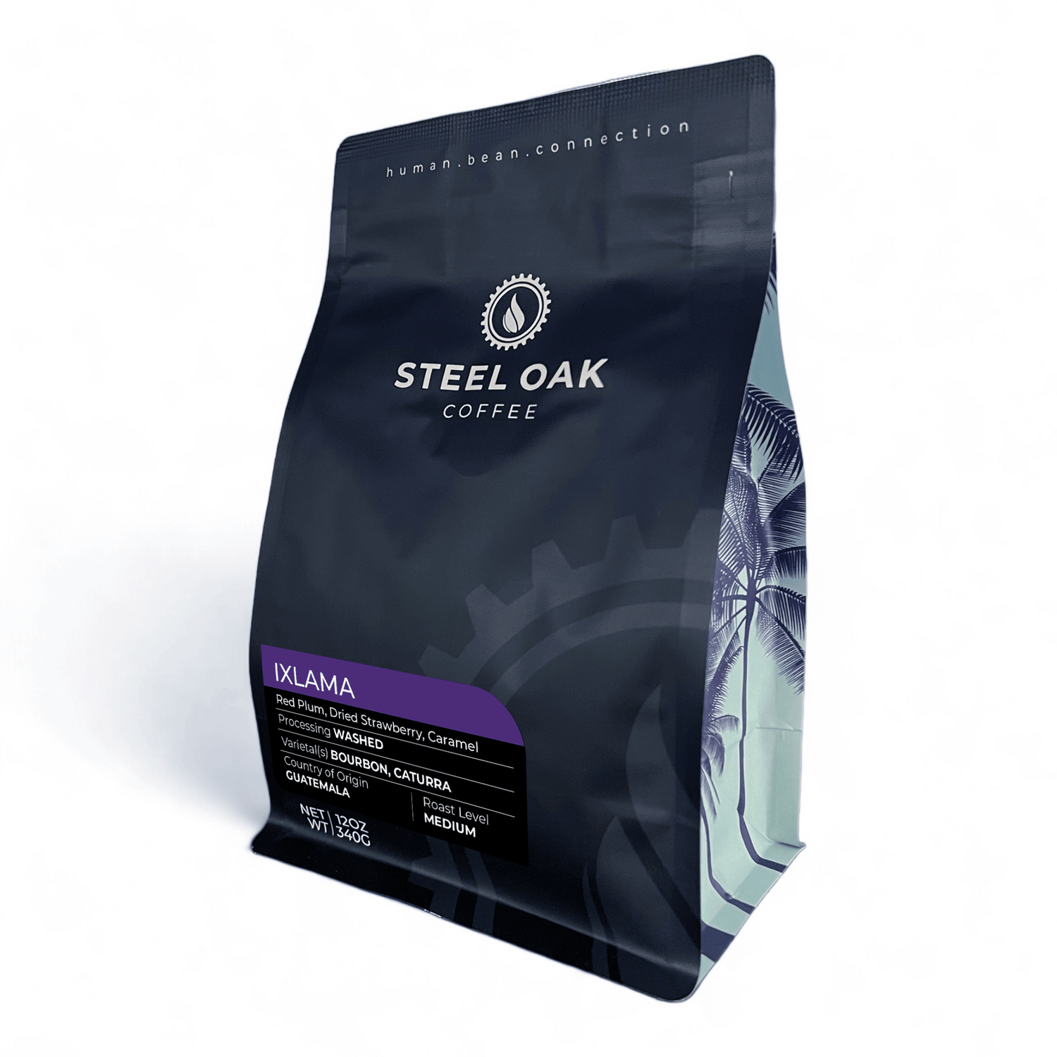 Ixlama | Single origin Guatemalan coffee | Steel Oak Coffee