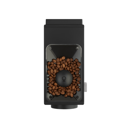 Fellow Ode Brew Grinder Gen 2 - Steel Oak Coffee