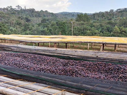 Koke Honey - Steel Oak Coffee